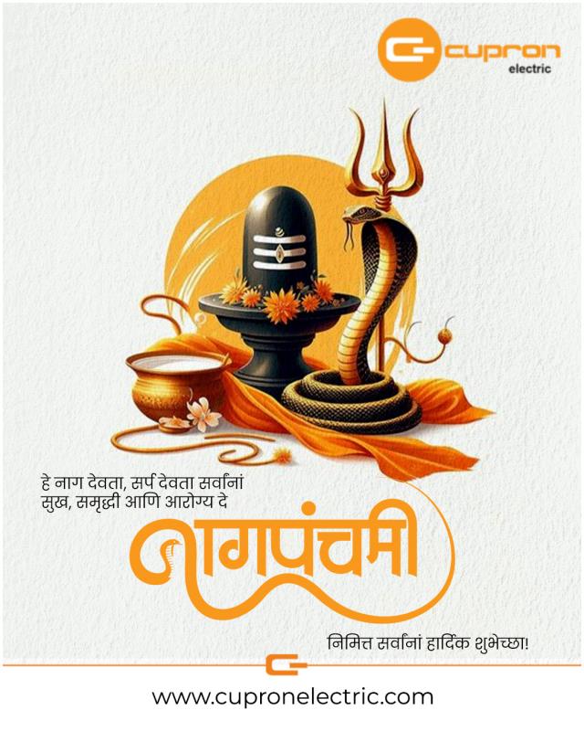 नागपंचमीच्या हार्दिक शुभेच्छा !