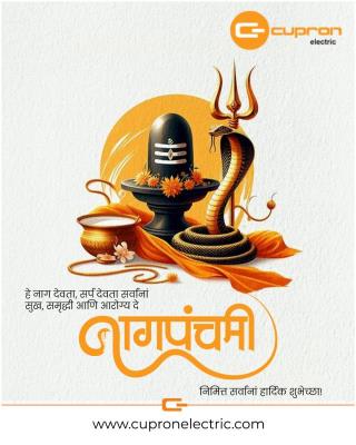 नागपंचमीच्या हार्दिक शुभेच्छा !